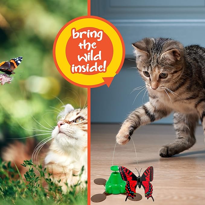 fly by spinner cat toy