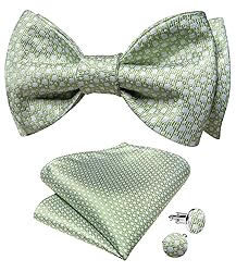 DiBanGu Light Green Bow Ties for Men Sage Green