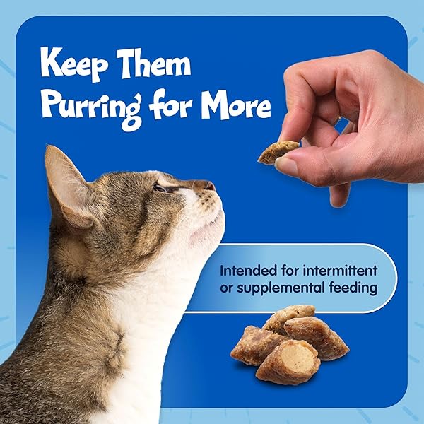 BLUE BUFFALO BURSTS CRUNCHY & CREAMY CAT TREATS, GREAT FOR TRAINING, PAW-LICKIN’ CHICKEN, 12-OZ. TUB