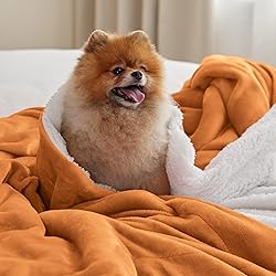 Bedsure Sherpa Fleece Queen Size Blankets for Bed