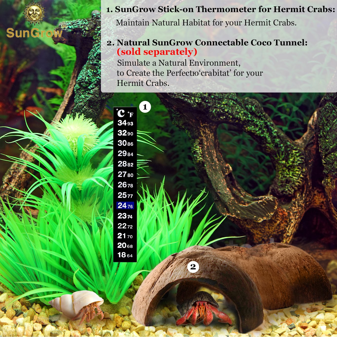 Stick-on Thermometer for Hermit Crabs -- Provide Precise Temperature Measurement - Easy To Use and Install - Helps Keep Crabs Healthy & Live Longer