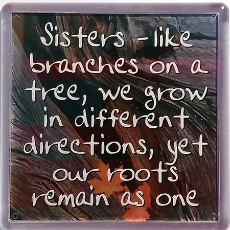 Historia y Heráldica sentimiento imán para nevera - mag-053 ...