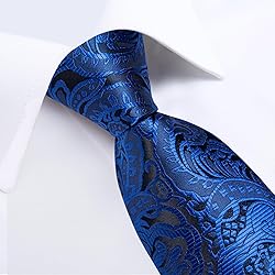 DiBanGu Silk Paisley Ties for Men Woven Necktie and