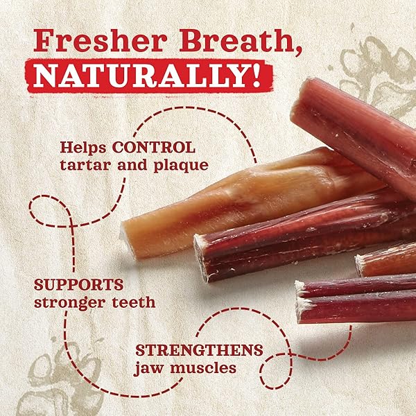 NATURAL FARM ODOR-FREE BULLY STICKS (6 INCH, 6 OUNCES), PACKAGED BY WEIGHT, 100% BEEF CHEWS, GRASS-FED, FULLY DIGESTIBLE TREATS TO KEEP YOUR PUPPIES, SMALL AND MEDIUM DOGS BUSY
