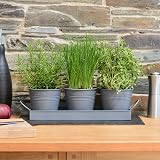 CKB LTD Set of 3 Metal Herb Pots with Drip Tray Charcoal Grey view 3