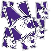 Desert Cactus Northwestern University Sticker NU Wildcats Vinyl Decals Laptop Water Bottle Car Scrapbook T3 (Type 3-2)