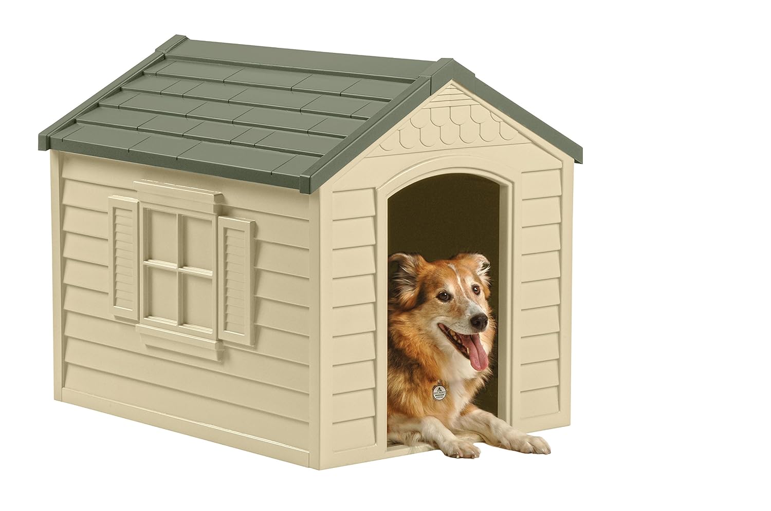 Best Dog House