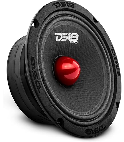 P-Audio 18-Inch Daidai様 18