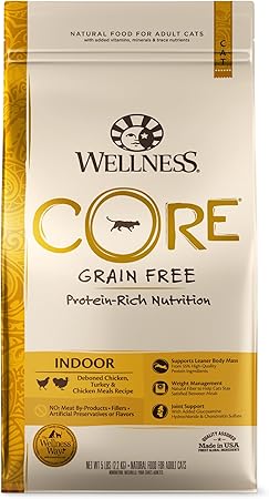 amazon wellness cat food