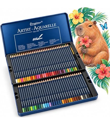Caran D'Ache Lápis de Cor Luminance 40 Cores, 40 Cores | Amazon.com.br