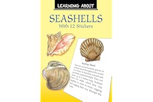 Learning About Seashells (Dover Little Activity Books: Sea Life)