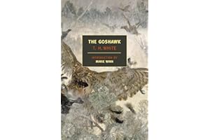 The Goshawk