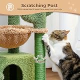 PAWZ Road Cactus Cat Tree 79cm Indoor Cat Tower Green with Condo Hammock view 3