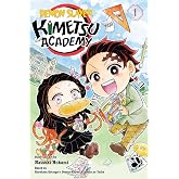 Demon Slayer: Kimetsu Academy, Vol. 1