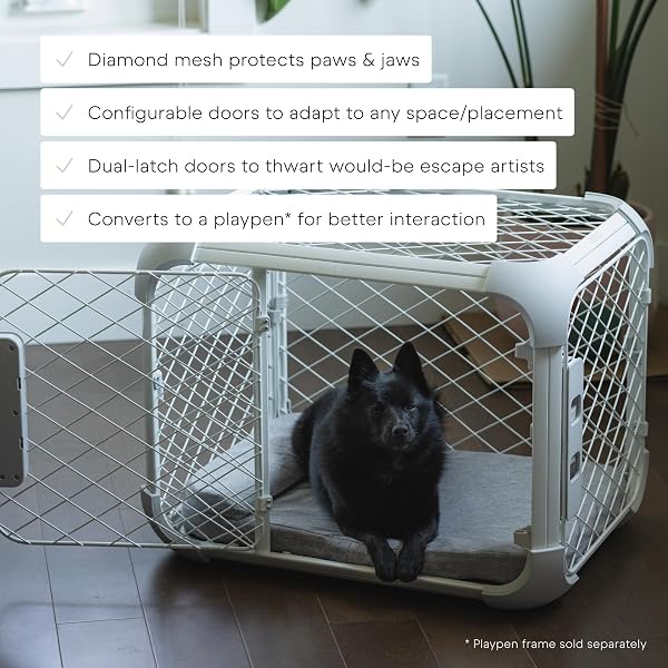 DIGGS EVOLV DOG CRATE – SLIM, DURABLE DOG KENNEL WITH REMOVABLE CEILING PANEL AND MODULAR DESIGN – SAFE, STYLISH, AND CONVENIENT (ASH, SMALL)