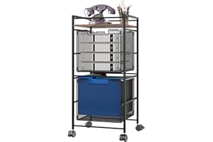 superbpag Rolling File Cart, File Cabinet with 2 Storage Drawers, Mobile Storage Cart on Lockable Wheels for Home Office Classroom, Rustic Brown and Black