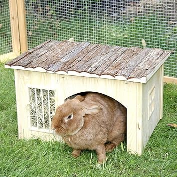 Small Pet Kaninchen Haus Mit Heuraufe Cooles Design Holz Dach