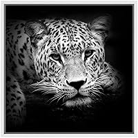 SIGNWIN Framed Canvas Wall Art Spotted Tiger Leopard Animals Wildlife Photography Realism Modern Portrait Dramatic Black and White for Living Room, Bedroom, Office - 16