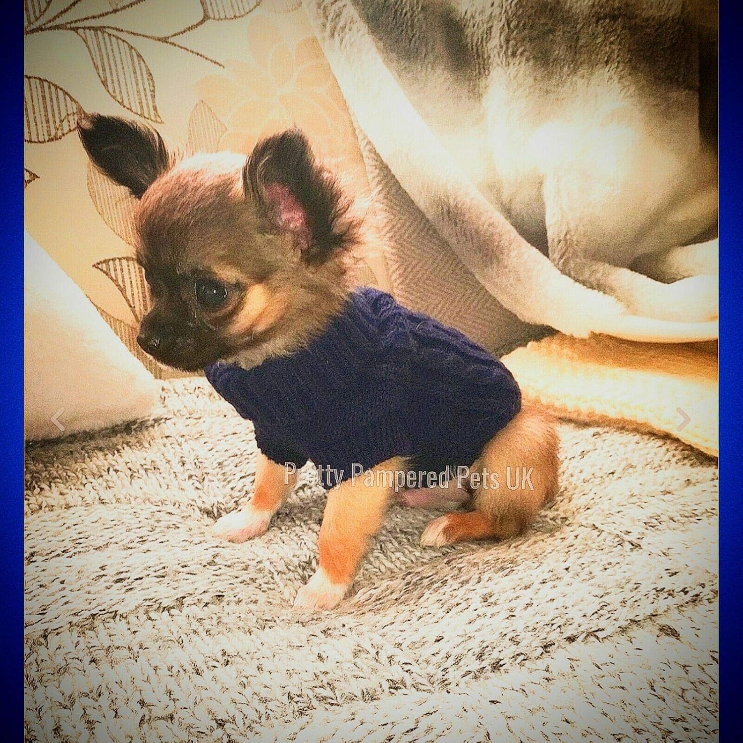 Chihuahua Clothes Puppy Dog Coat Knit Jumper Cosy Teacup Smaller Breeds (XXXS, Navy), 3XS (Pack of 1) - Image 5