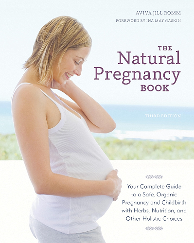 Download The Natural Pregnancy Book, Third Edition: Your Complete Guide to a Safe, Organic Pregnancy and Childbirth with Herbs, Nutrition, and Other Holistic Choices (English Edition) PDF