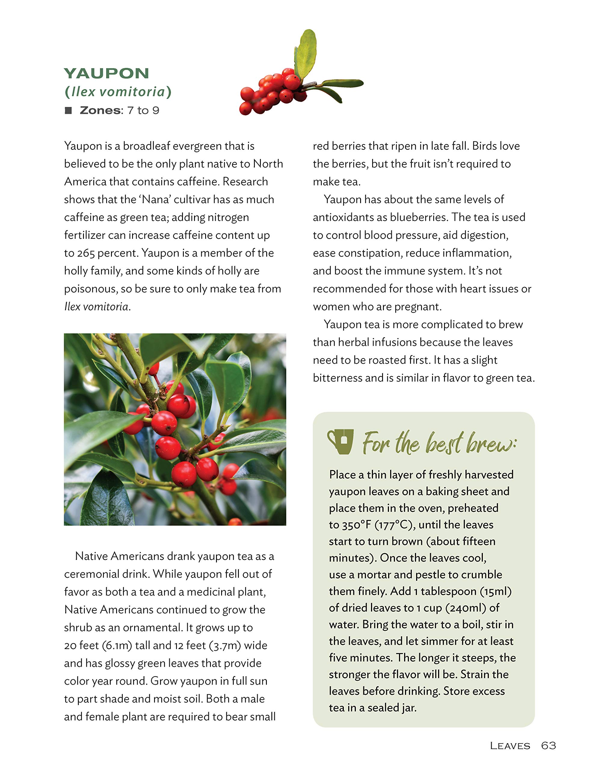 Growing Your Own Tea Garden: The Guide to Growing and Harvesting Flavorful Teas in Your Backyard (CompanionHouse Books) Create Your Own Blends to Manage Stress, Boost Immunity, Soothe Headaches & More Apr 9, 2019