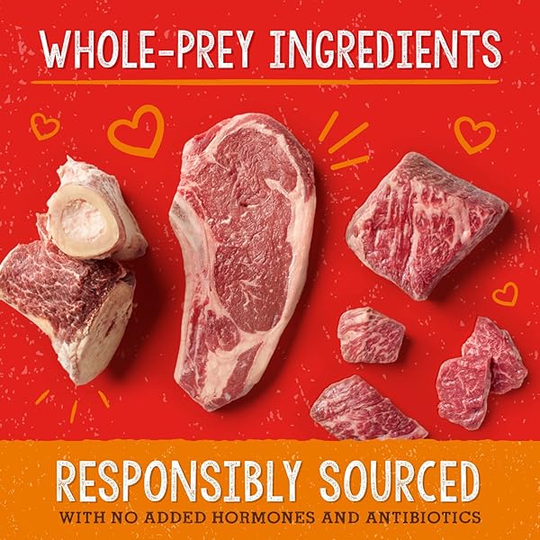 STELLA & CHEWY’S FREEZE-DRIED RAW DOG FOOD FOR DIGESTIVE HEALTH – GRASS-FED BEEF DINNER MORSELS – NATURAL SOLUTION FOR SENSITIVE STOMACH, GAS & FIRM STOOLS – PREMIUM RAW NUTRITION – 13OZ