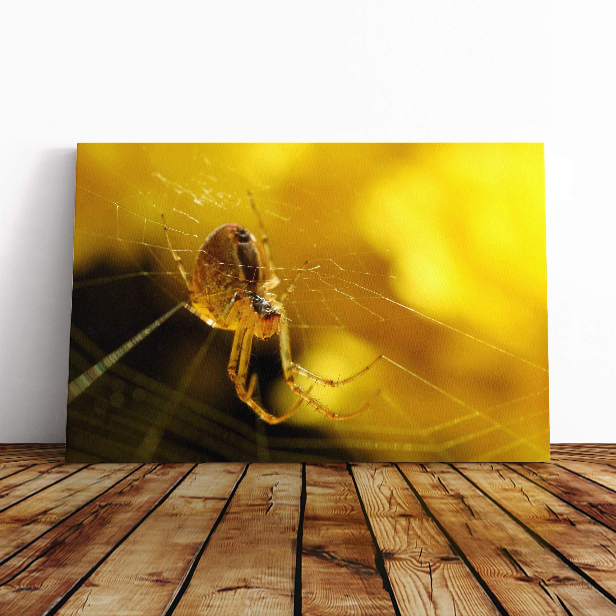 Spider Cobweb (5) Canvas Print | Gallery Wrapped 30mm Frame Wall Art | 20x14 inches | Ready to Hang | Modern Animal Picture | Living Room Bedroom Lounge Office