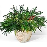 trytuny Norfolk Pine Branches, 12pcs Artificial Plants Norfolk Garland Real Touch Artificial Pine Branches Christmas Greenery, DIY Crafts for Xmas Indoor Outdoor Home Party New Year Decor