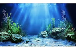 RIIVVDISE Underwater Scene Aquarium Background Under The Sea Coral Reefs Fish Tank Background Ocean Bottom Scene Sand Rocky Outcrops Terrarium Backgrounds Tropical Undersea Life View Tank Backgrounds 24x12in