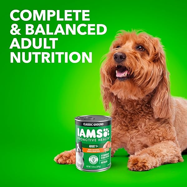 IAMS PROACTIVE HEALTH ADULT WET DOG FOOD CLASSIC GROUND WITH CHICKEN AND RICE, 13 OZ. CANS (6 COUNT, PACK OF 1)