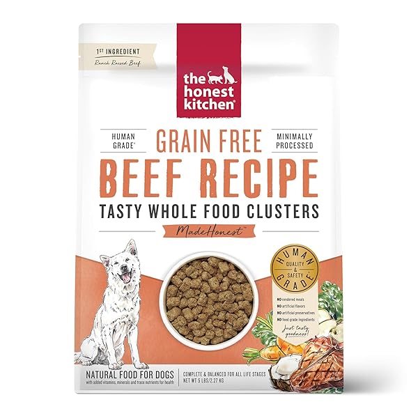 THE HONEST KITCHEN WHOLE FOOD CLUSTERS GRAIN FREE BEEF DRY DOG FOOD, 5 LB BAG