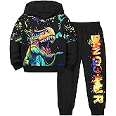 TyeSmo Toddler Boy Clothes Dinosaur Printed Hoodies Toddler Clothes for Boys Long Sleeve Sweatpants Set T-Rex Outfits 3-7t