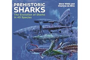 Prehistoric Sharks: The Evolution of Sharks in 40 Species