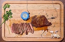 ThermoWorks DOT — Chefs’ Favorite Simple Alarm