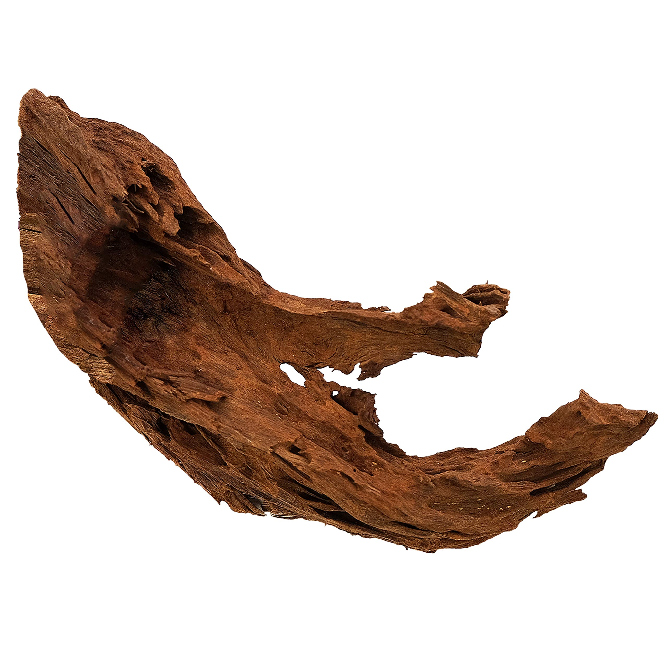 Zilla Reptile Décor Malaysian Driftwood Buy Online in United Arab
