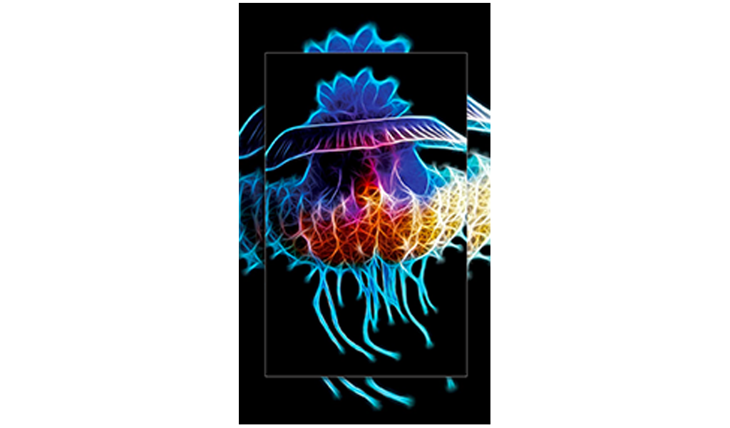 Neon Animals Wallpapers: Amazon.es: Appstore para Android