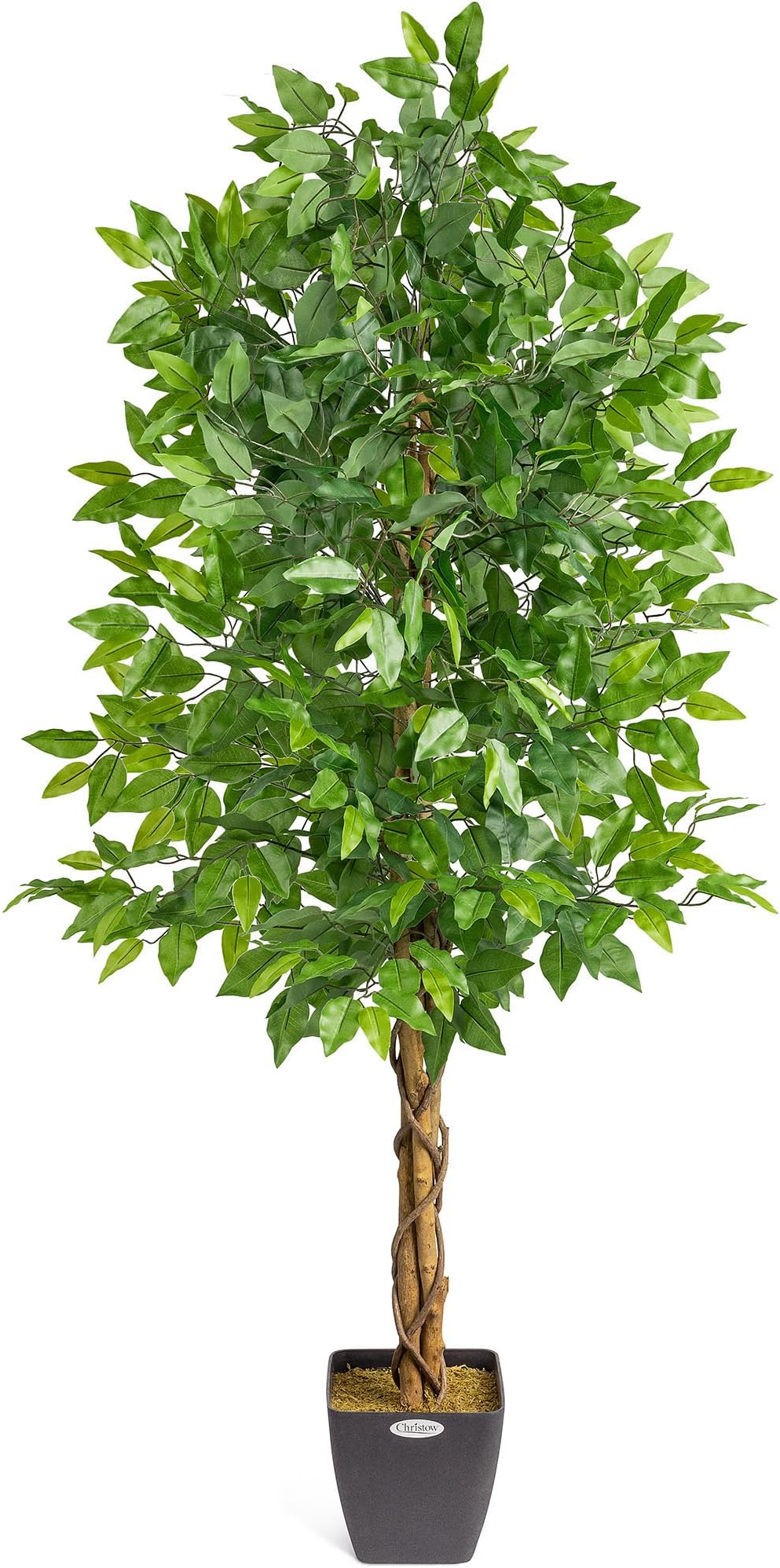 CHRISTOW Artificial Ficus Tree 5ft Lifelike PEVA Leaves Natural Wooden Trunk