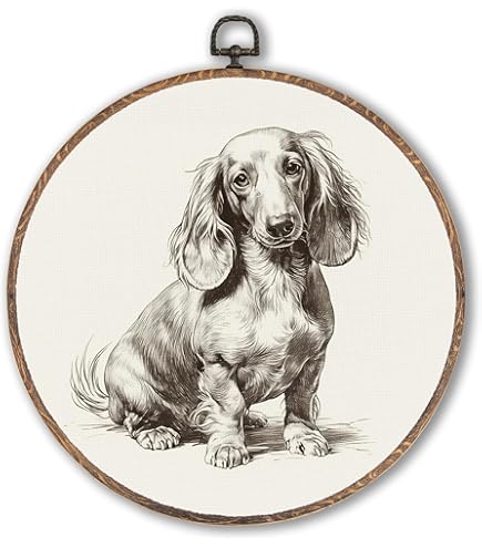Cartel Decorativo De Metal Con Texto En Inglés "Caution Dachshund" Con Texto En Inglés "Dachshund Xing", Letrero De Advertencia De Precaución Para Colgar En La Calle O Al Aire Libre