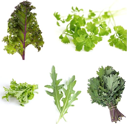 Mezcla De Semillas Para Ensalada Bolas - Cultivar eN Su Propio ...