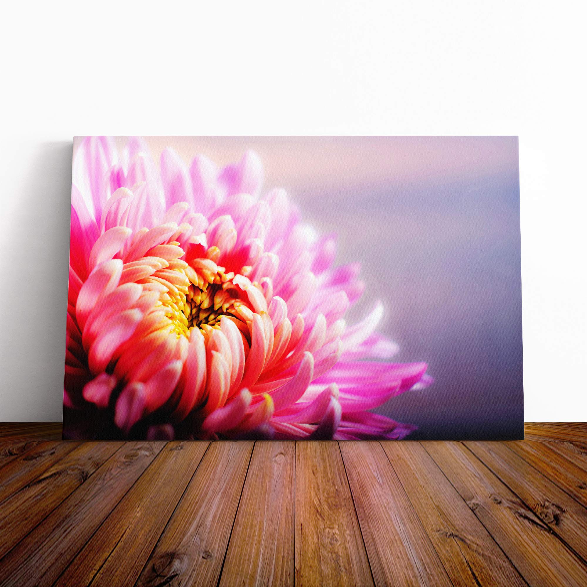 Flower Chrysanthemum Pink Canvas Print | Gallery Wrapped 30mm Frame Wall Art | 20x14 inches | Ready to Hang | Modern Floral Picture | Living Room Bedroom Lounge Office