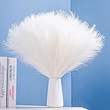 Bnecnet 10 Stems White Pampas Grass Fluffy