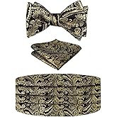 Alizeal Men's Paisley Cummerbund and UNTIED Bow Tie Hanky Set