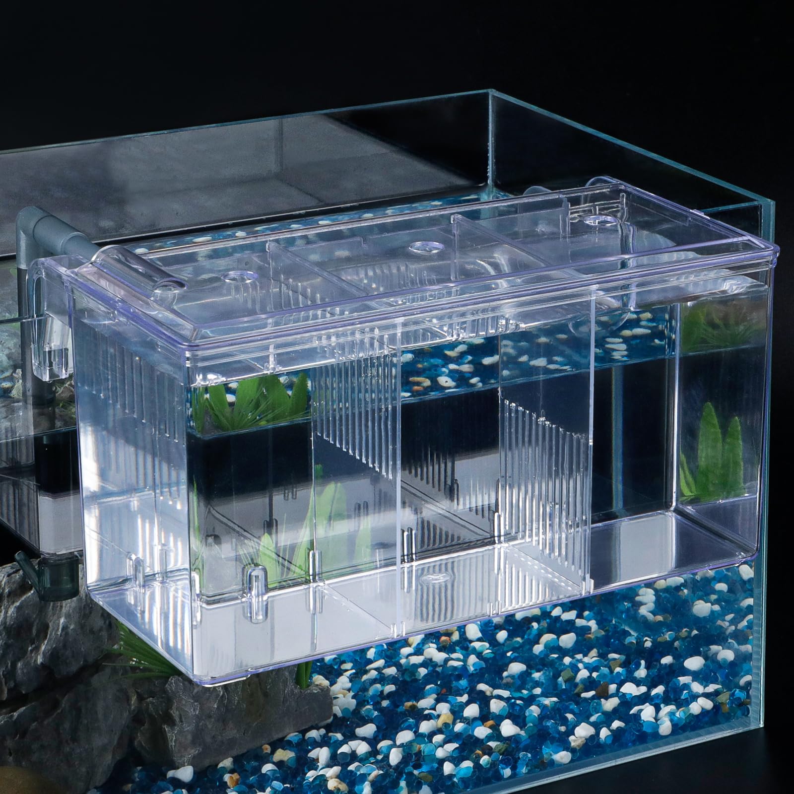 Photo 1 of Pawfly Aquarium Breeding Box Fish Tank Hatchery Incubator Acrylic Breeder Box for Aggressive Fish Guppy