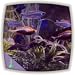 Blue Fish Aquarium