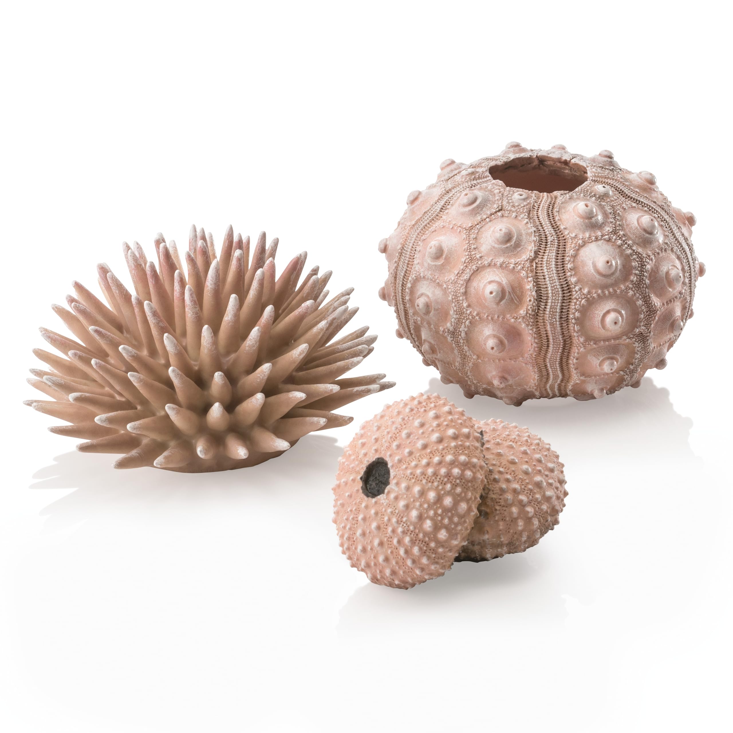 biOrb Fish Tank Decorations, Sea Urchin Aquarium Ornament Set (3 x Natural), Beautiful Detailed Artificial Fish Tank Accessories To Add Colour, Natural-Looking Aquarium Decor For Scenic Background