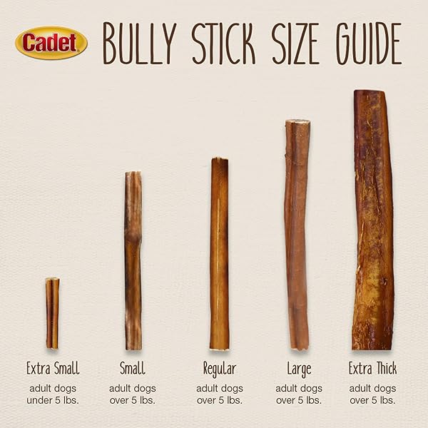 CADET BULLY STICKS FOR SMALL DOGS – ALL-NATURAL BEEF PIZZLE, HIGH PROTEIN, LOW FAT, LONG-LASTING, GRAIN & RAWHIDE-FREE DOG CHEWS FOR AGGRESSIVE CHEWERS, SMALL (12 OUNCE)
