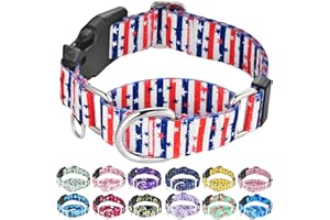 Fidohug American Flag Martingale Collar 4th of July Star Holiday Dog Collar with Buckle Adjustable Pet Collars (Red Blue Patriotic Stripes, Medium)