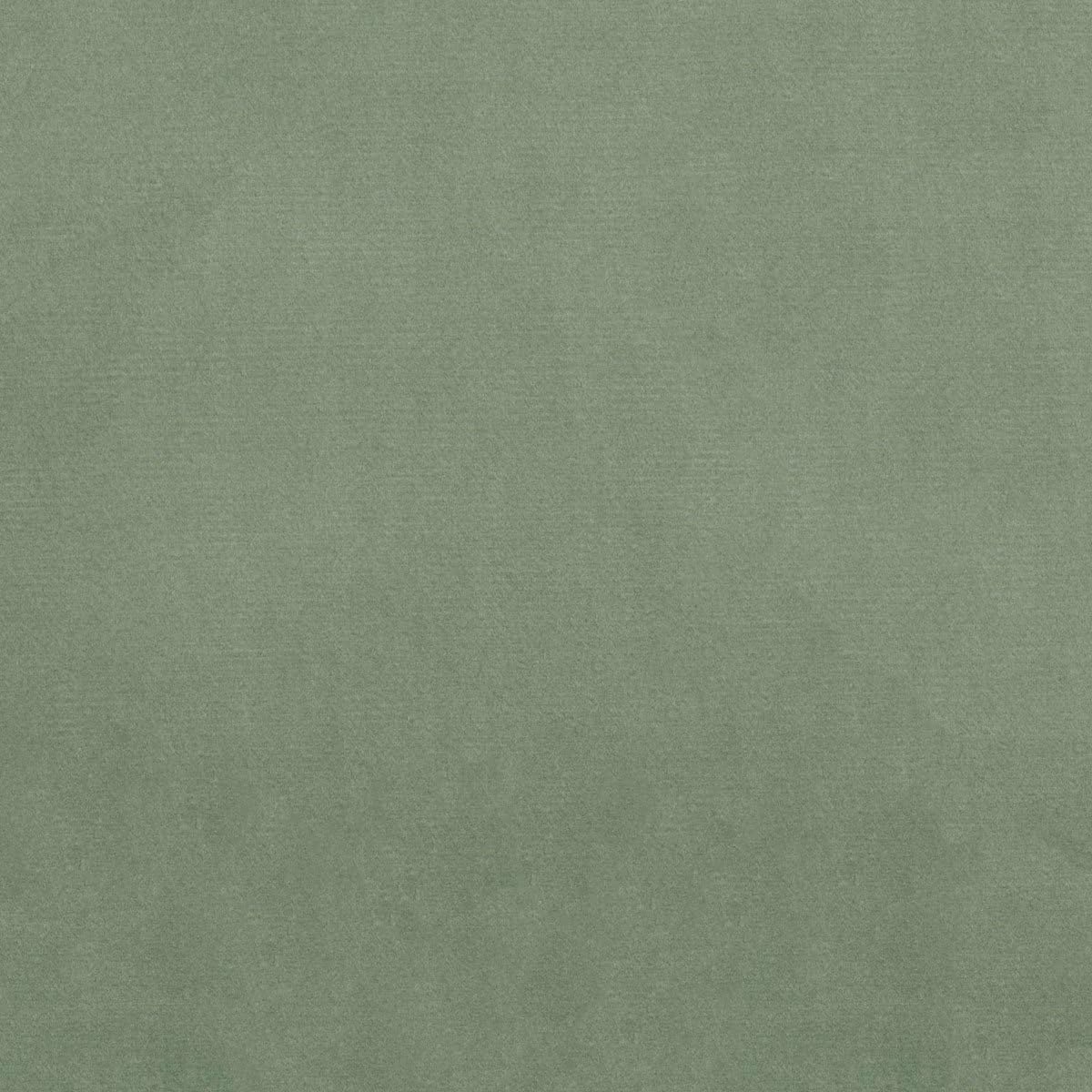 Sage Green Sage Green Backgrounds Images Stock Photos