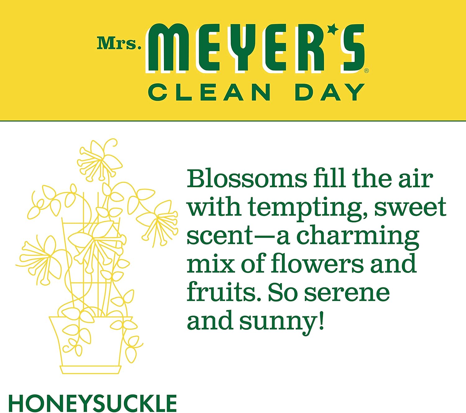 Mrs. Meyer's Clean Day Dishwashing Liquid Dish Soap Refill, Cruelty Free Formula, Honeysuckle Scent, 48 oz: Health & Personal Care