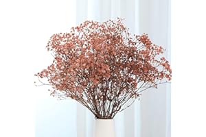 JTODER Babys Breath Dried Flowers Bouquet-17'' 2500+ Ivory Dry Flowers, Natural Gypsophila Branches for Wedding, Home Table Vase Decor, DIY Wreath Floral, Fall Thanksgiving Autumn Decoration (Brown, 3oz)